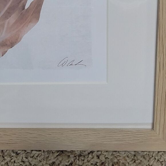 Framed Floral Wall Art Set of 2 – Pink Protea flowers with beige wood frames - Picture 7 of 10